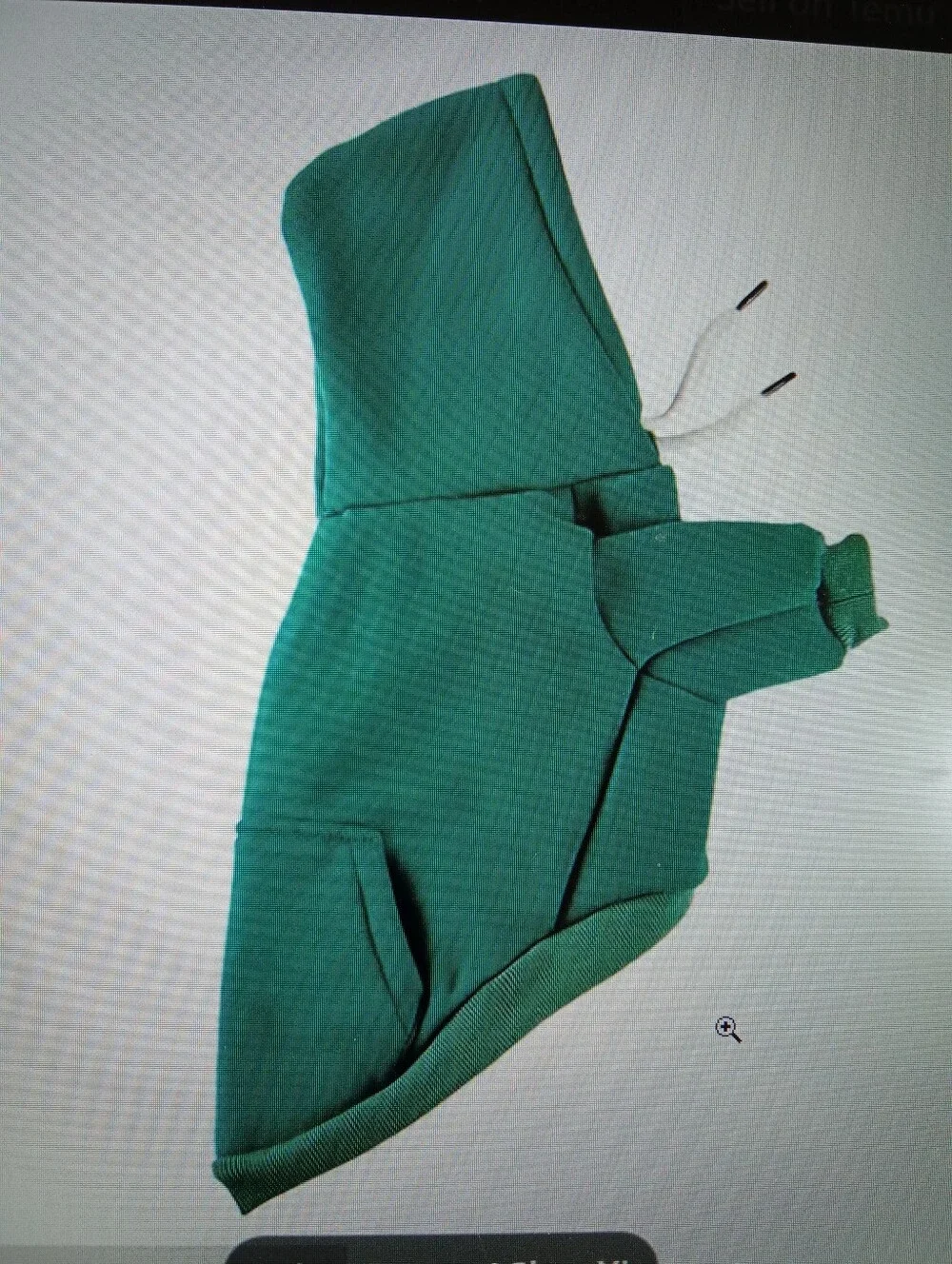 Cozy Dog Teal Green Hooded Pullover Sweatshirt